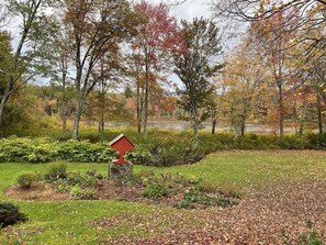 Garden and Pond