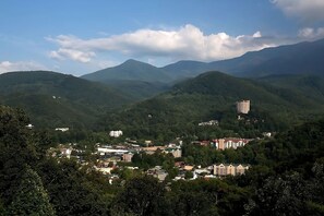 View from the room