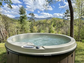 Lower 40 Hot Tub with cleared view
