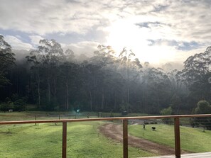 Área da propriedade