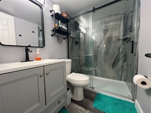 Walk in Shower Bathroom