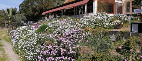 Jardines del alojamiento