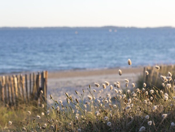 Water, Sky, Flower, Plant, Ecoregion, Natural Landscape, Coastal And Oceanic Landforms, Grass, Bank, Wood