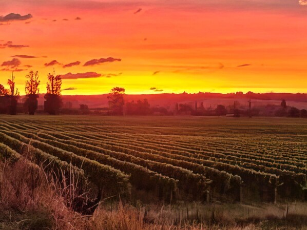 Amazing Sunsets
