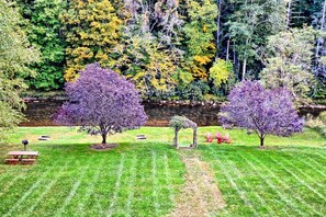 Views of the River from the deck