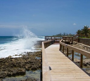 We have our own blowhole on the beautiful boardwalk.