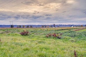 Surrounding Scenery