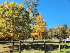 Surrounded by these gorgeous fall colors. 