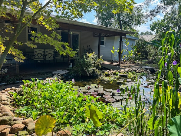 The backyard has a 3000 gallon koi pond with 3 waterfalls.