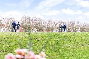 Gartenblick