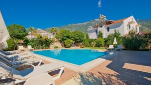 Private pool and terrace 