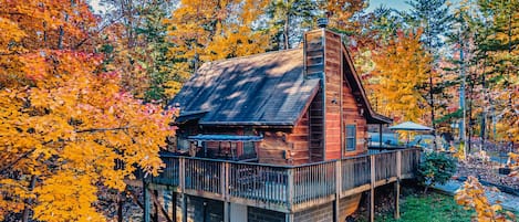 Beary Tale's enchanting rear view, cozily tucked between autumn leaves.