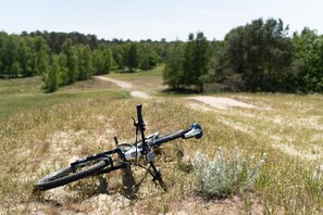 Direkte Umgebung des Objekts. Fahrradtour im 300 m entfernten Naturpark