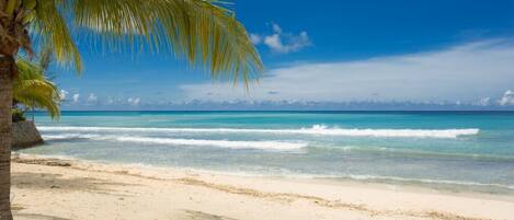 Our Beach High Tide