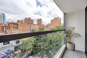 Vista del balcón