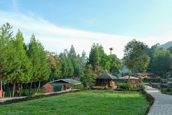 Land view from property
