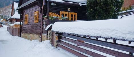 Cottage in vinter