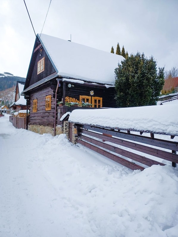 Cottage in vinter