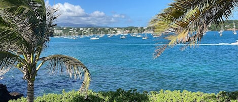 Your view! Prickly Bay & the Grand Etan Mountains in the back ground. Pure views