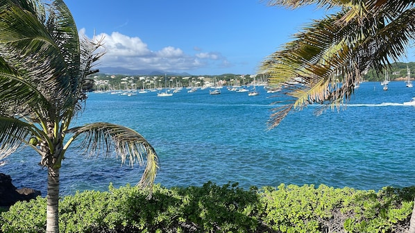 Your view! Prickly Bay & the Grand Etan Mountains in the back ground. Pure views