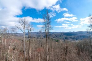 Deck Area--- Winter Mountain View 
