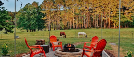Relax by the firepit and enjoy observing the horses and great outdoors