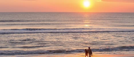 Morning Beach walks get your day started right.