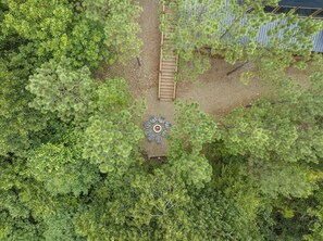 Simply D'Vine is surrounded by towering pines.