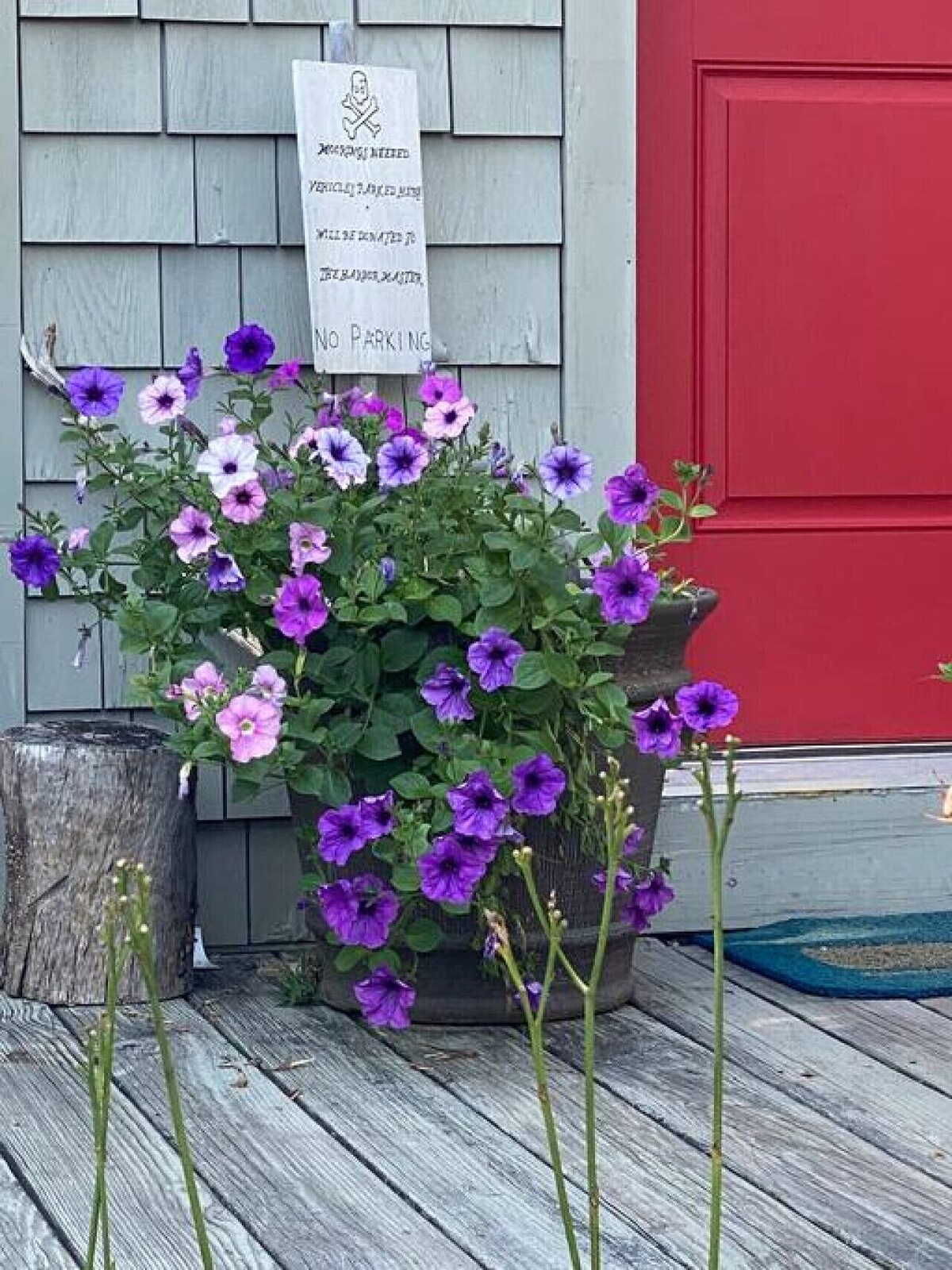 Wildwood Cottage and Bunkhouse