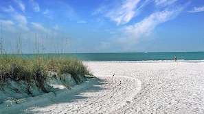 Beach Day!