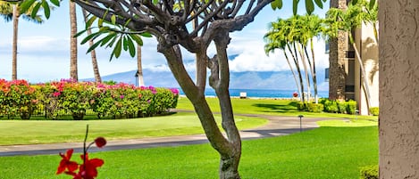 Partial ocean views with Molokai in the distance