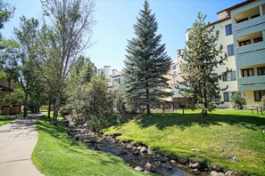 Burgess Creek & the Burgess Creek Trail