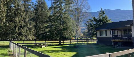 Communal Fenced backyard