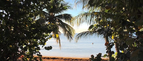 Spiaggia