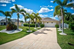 Palm Trees and Warm Breeze Welcome You