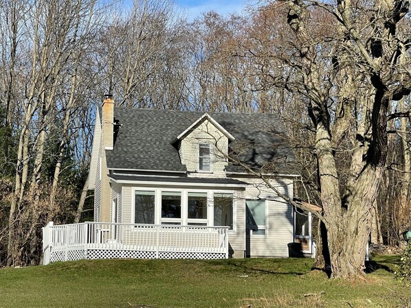 Main Image