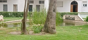 Property grounds