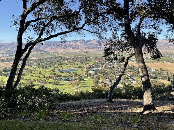 View of the Edna Valley