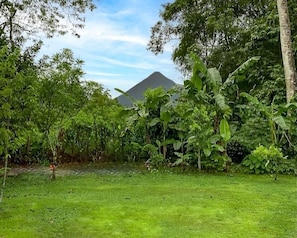 Backyard view!!