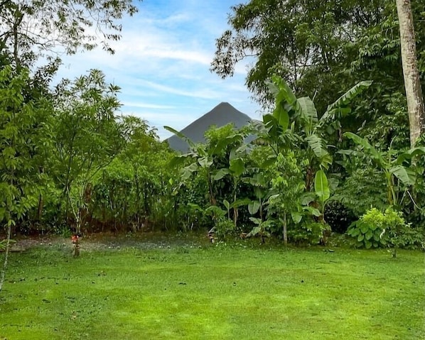 Backyard view!!