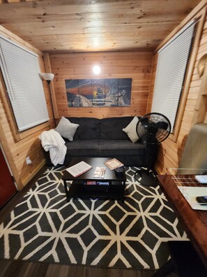 Family Room with queen size sleeper