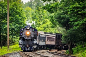 On site private railroad crossing for Reading Blue Mountain & Northern Railroad.