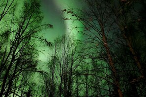 In the evenings, relish the starry Alaskan skies or take in the breathtaking northern lights during the right season. It's a haven for nature enthusiasts and those seeking a peaceful retreat
