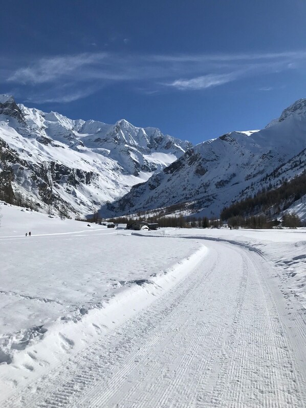 Snow and ski sports