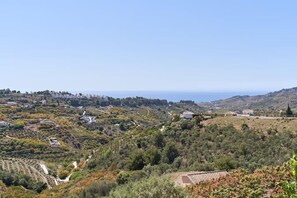 Panoramic view