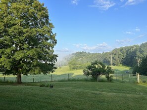 View from the porch
