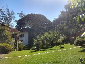 Terraço/pátio interior