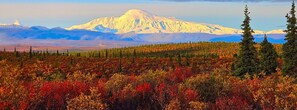 Mount Sanford out back in autumn foliage