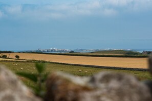 The Rushes - the view to Inner Farne lighthouse