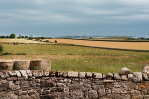The Rushes - the stunning coastal views from the garden